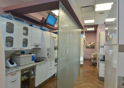 Damask glass wall divider between backroom of dental clinic and dental operatory