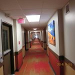 Red and yellow hallway carpet designs