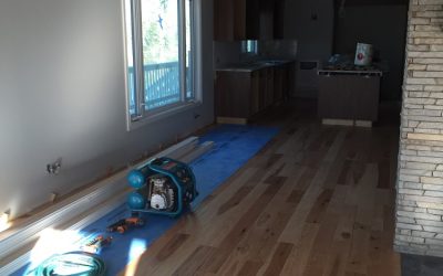 Flooring Begins