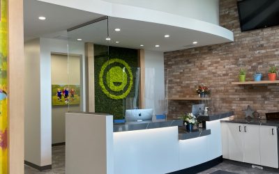 Pro Plant Care – Guest Blog