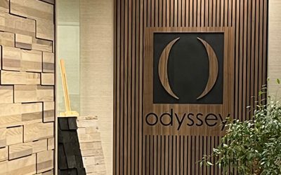 New Product – Woodwerx Odyssey Wallcoverings