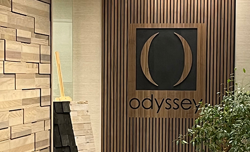 New Product – Woodwerx Odyssey Wallcoverings
