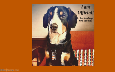 Jax’s – I am official!