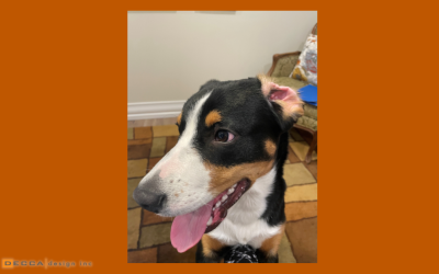 Jax’s Blog – He wanted to check where??!!