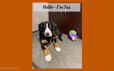 Jax’s Blog – Hello – I’m Jax