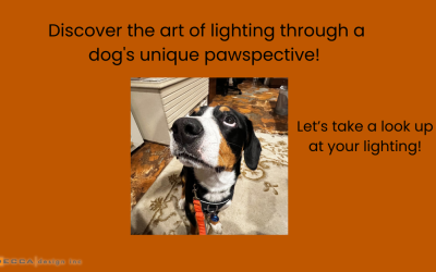 Jax’s Blog – Lighting… From my pawspective