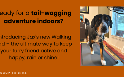Jax’s Blog – My Indoor Exercise