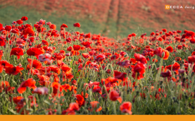Honouring Remembrance Day