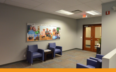 Designing for the Future: Canadian Clinic Waiting Room Design Ideas