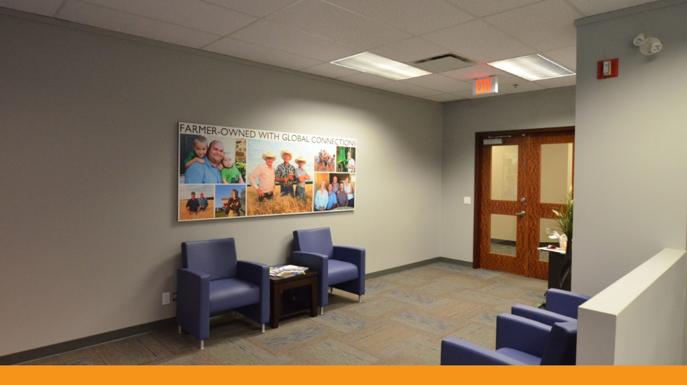 Designing for the Future: Canadian Clinic Waiting Room Design Ideas